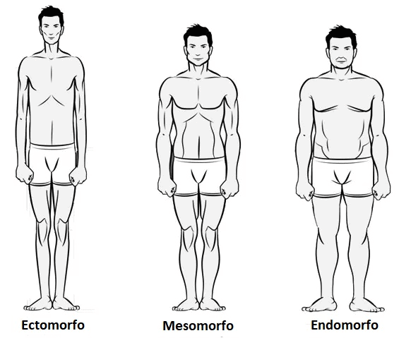 como descobrir meu biotipo